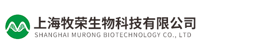 paybet雷竞技